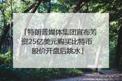 特朗普媒体集团宣布筹资25亿美元购买比特币 股价开盘后跳水