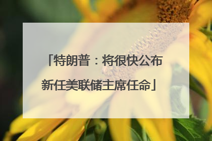 特朗普：将很快公布新任美联储主席任命