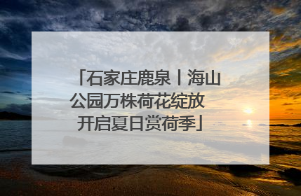 石家庄鹿泉丨海山公园万株荷花绽放 开启夏日赏荷季