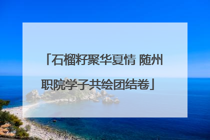 石榴籽聚华夏情 随州职院学子共绘团结卷