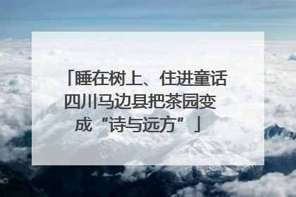 睡在树上、住进童话 四川马边县把茶园变成“诗与远方”
