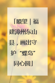 瞭望｜福建漳州东山县，画出守护“蝶岛”同心圆