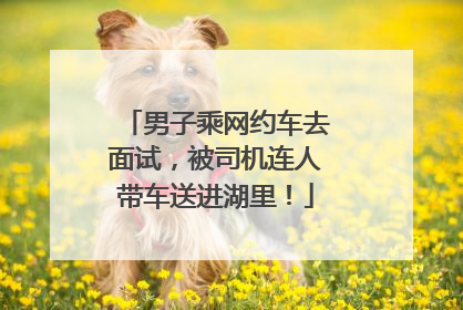 男子乘网约车去面试，被司机连人带车送进湖里！