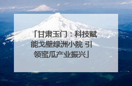 甘肃玉门：科技赋能戈壁绿洲小院 引领蜜瓜产业振兴