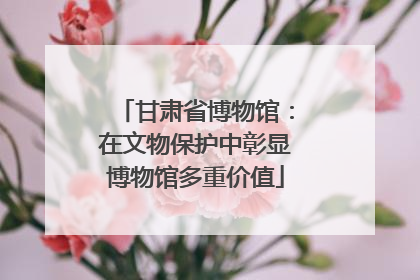 甘肃省博物馆：在文物保护中彰显博物馆多重价值
