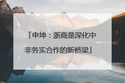 申坤：浙商是深化中非务实合作的新桥梁