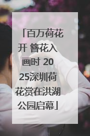 百万荷花开 簪花入画时 2025深圳荷花赏在洪湖公园启幕