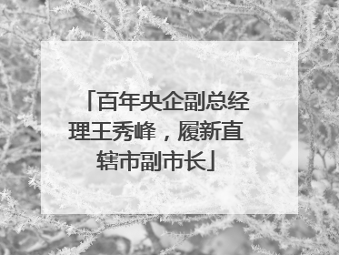 百年央企副总经理王秀峰，履新直辖市副市长
