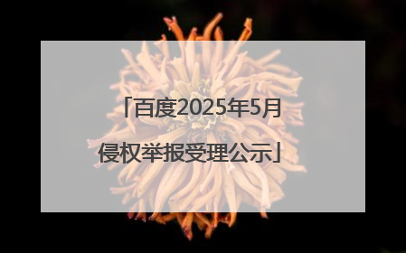百度2025年5月侵权举报受理公示