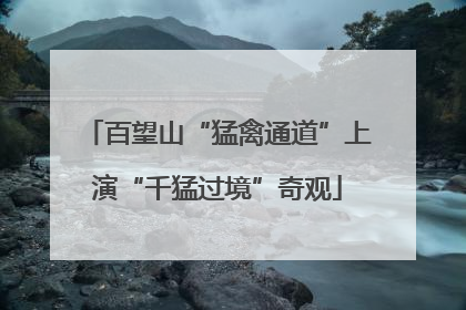 百望山“猛禽通道”上演“千猛过境”奇观