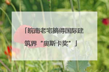 皖南老宅摘得国际建筑界“奥斯卡奖”