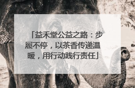 益禾堂公益之路：步履不停，以茶香传递温暖，用行动践行责任