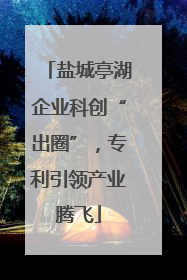 盐城亭湖企业科创“出圈”，专利引领产业腾飞