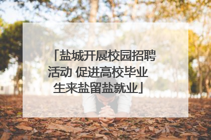 盐城开展校园招聘活动 促进高校毕业生来盐留盐就业
