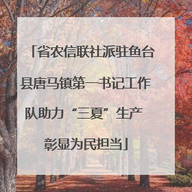 省农信联社派驻鱼台县唐马镇第一书记工作队助力“三夏”生产 彰显为民担当
