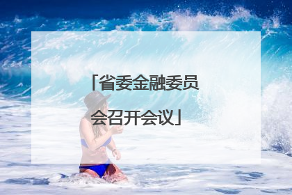 省委金融委员会召开会议