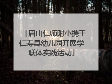眉山仁师附小携手仁寿县幼儿园开展学联体实践活动