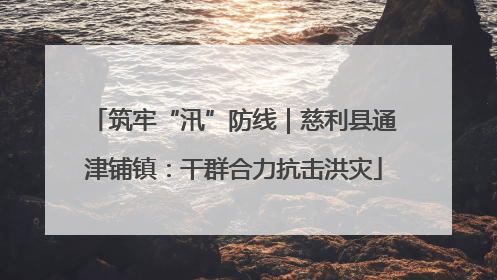 筑牢“汛”防线｜慈利县通津铺镇：干群合力抗击洪灾