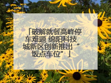 破解就餐高峰停车难题 绵阳科技城新区创新推出“饭点车位”