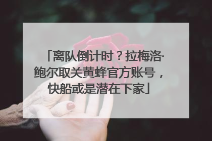 离队倒计时？拉梅洛·鲍尔取关黄蜂官方账号，快船或是潜在下家