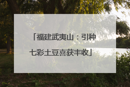 福建武夷山：引种七彩土豆喜获丰收
