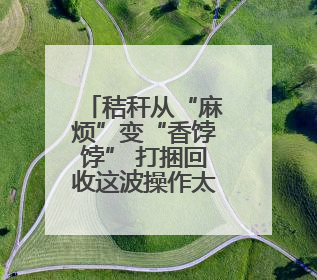 秸秆从“麻烦”变“香饽饽” 打捆回收这波操作太赚了！