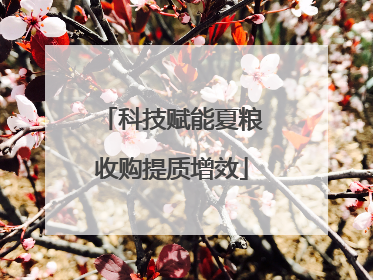 科技赋能夏粮收购提质增效