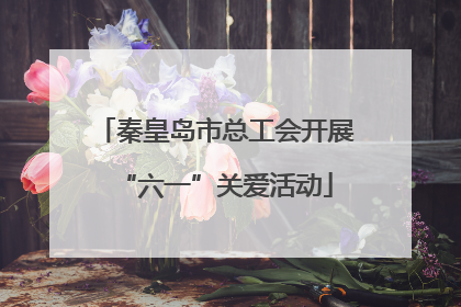 秦皇岛市总工会开展“六一”关爱活动