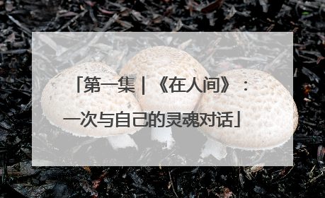 第一集｜《在人间》：一次与自己的灵魂对话