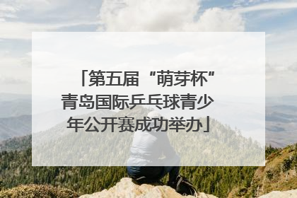 第五届“萌芽杯”青岛国际乒乓球青少年公开赛成功举办