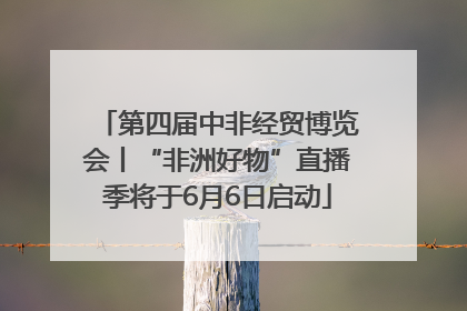第四届中非经贸博览会丨“非洲好物”直播季将于6月6日启动
