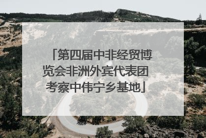 第四届中非经贸博览会非洲外宾代表团考察中伟宁乡基地