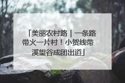 美丽农村路｜一条路带火一片村！小贺线带溪望谷成团出道