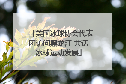 美国冰球协会代表团访问黑龙江 共话冰球运动发展
