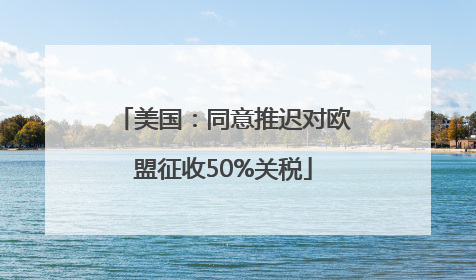 美国：同意推迟对欧盟征收50%关税