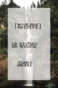 粽香伴归途 站点绽温情