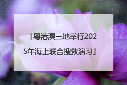 粤港澳三地举行2025年海上联合搜救演习