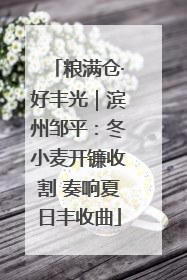 粮满仓·好丰光｜滨州邹平：冬小麦开镰收割 奏响夏日丰收曲