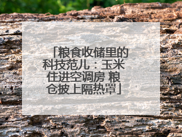 粮食收储里的科技范儿：玉米住进空调房 粮仓披上隔热罩