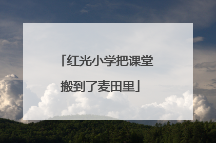 红光小学把课堂搬到了麦田里