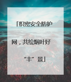 织密安全防护网，共绘烟叶好“丰”景