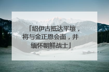 绍伊古抵达平壤，将与金正恩会面，并缅怀朝鲜战士
