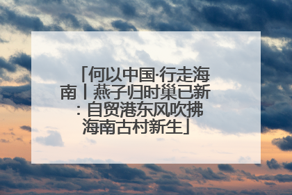 何以中国·行走海南丨燕子归时巢已新：自贸港东风吹拂 海南古村新生
