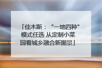 佳木斯：“一地四种” 模式任选 从定制小菜园看城乡融合新图景