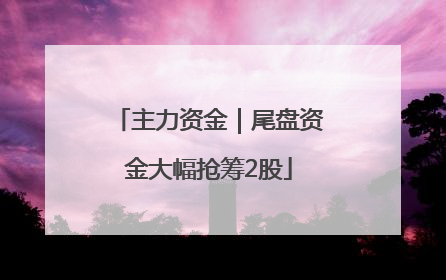 主力资金｜尾盘资金大幅抢筹2股