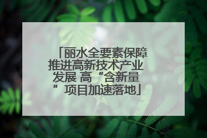 丽水全要素保障推进高新技术产业发展 高“含新量”项目加速落地