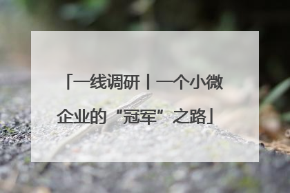 一线调研丨一个小微企业的“冠军”之路