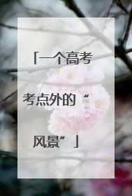 一个高考考点外的“风景”