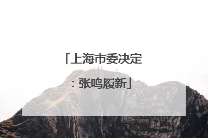 上海市委决定：张鸣履新