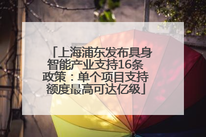 上海浦东发布具身智能产业支持16条政策：单个项目支持额度最高可达亿级